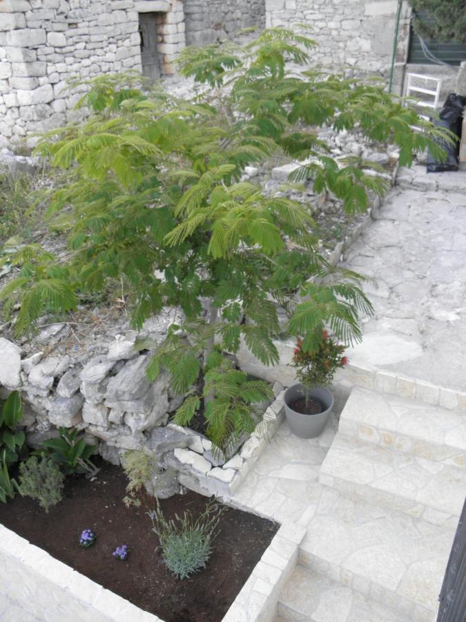 Apartmani Adam Primošten Εξωτερικό φωτογραφία